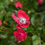 The Hellena Ring - 1 Carat